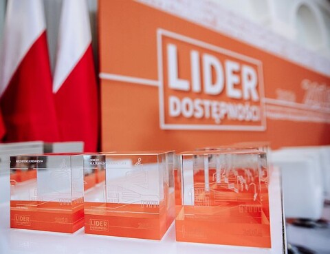 Lider_Dostepnosci_nabor_2021